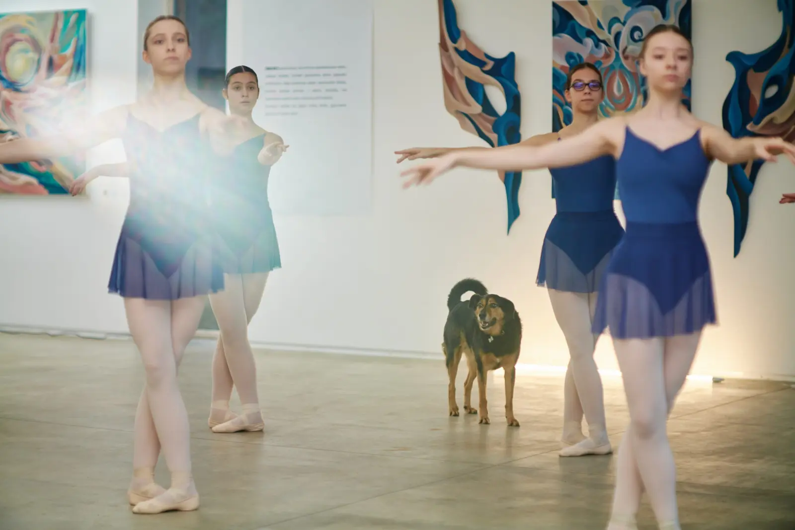 Dancers with raised arms among the paintings at Dimension of the Heart